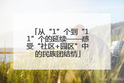 从“1”个到“11”个的延续——感受“社区+园区”中的民族团结情