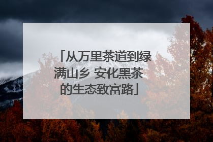 从万里茶道到绿满山乡 安化黑茶的生态致富路
