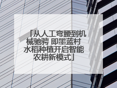 从人工弯腰到机械驰骋 即墨蓝村水稻种植开启智能农耕新模式