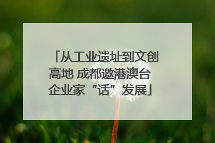 从工业遗址到文创高地 成都邀港澳台企业家“话”发展