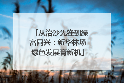 从治沙先锋到绿富同兴：新华林场绿色发展育新机