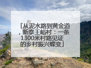 从泥水路到黄金道，新泰王峪村：一条1300米村路见证的乡村振兴蝶变