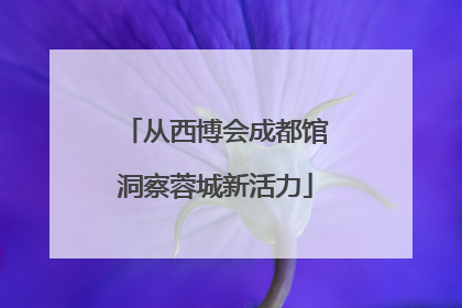 从西博会成都馆洞察蓉城新活力
