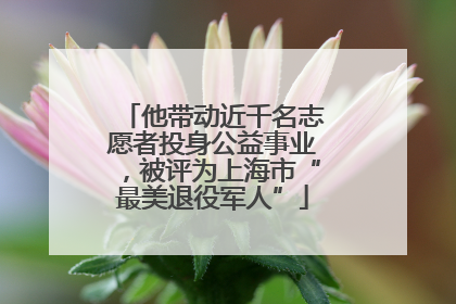 他带动近千名志愿者投身公益事业，被评为上海市“最美退役军人”