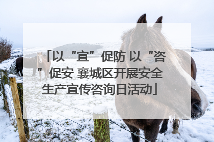 以“宣”促防 以“咨”促安 襄城区开展安全生产宣传咨询日活动