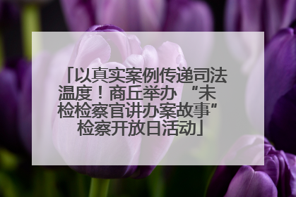 以真实案例传递司法温度！商丘举办 “未检检察官讲办案故事” 检察开放日活动