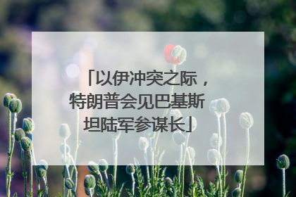 以伊冲突之际，特朗普会见巴基斯坦陆军参谋长