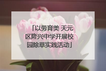 以劳育美 天元区隆兴中学开展校园除草实践活动