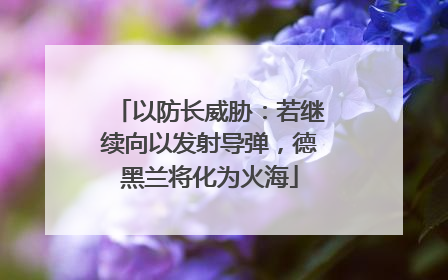 以防长威胁：若继续向以发射导弹，德黑兰将化为火海