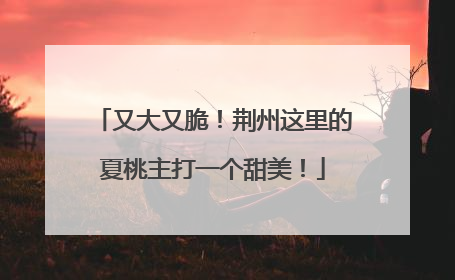 又大又脆！荆州这里的夏桃主打一个甜美！