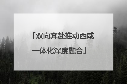 双向奔赴推动西咸一体化深度融合