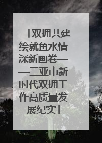 双拥共建绘就鱼水情深新画卷——三亚市新时代双拥工作高质量发展纪实