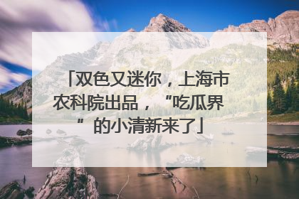 双色又迷你，上海市农科院出品，“吃瓜界”的小清新来了