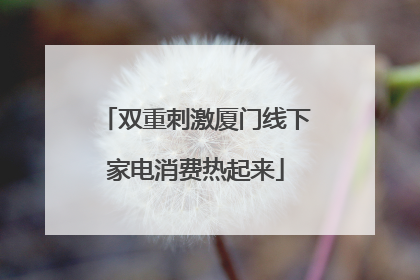 双重刺激厦门线下家电消费热起来