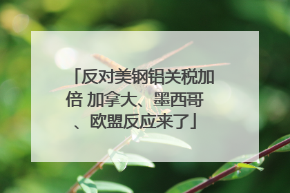 反对美钢铝关税加倍 加拿大、墨西哥、欧盟反应来了
