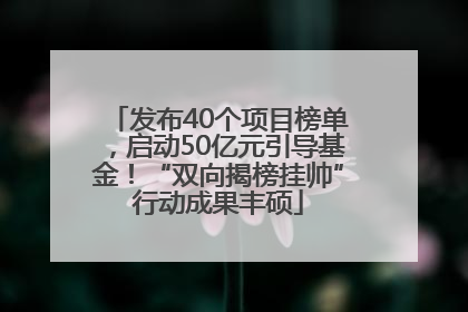 发布40个项目榜单，启动50亿元引导基金！“双向揭榜挂帅”行动成果丰硕