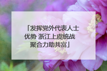 发挥党外代表人士优势 浙江上虞统战聚合力助共富