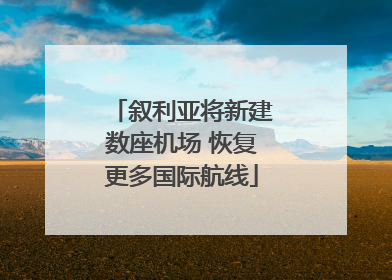 叙利亚将新建数座机场 恢复更多国际航线