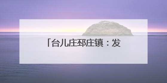 台儿庄邳庄镇：发挥人大监督作用 助力人居环境提升
