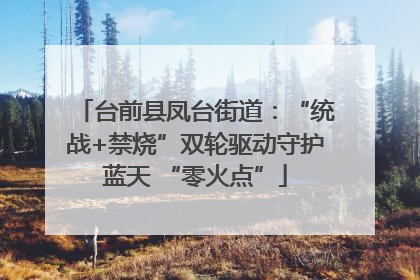 台前县凤台街道：“统战+禁烧”双轮驱动守护蓝天 “零火点”