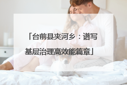 台前县夹河乡：谱写基层治理高效能篇章