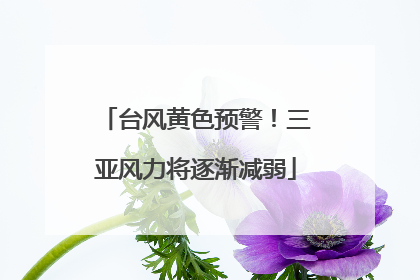 台风黄色预警！三亚风力将逐渐减弱