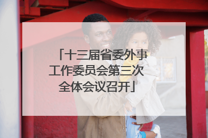 十三届省委外事工作委员会第三次全体会议召开