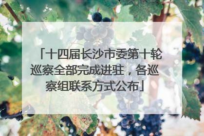 十四届长沙市委第十轮巡察全部完成进驻，各巡察组联系方式公布