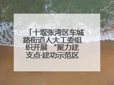 十堰张湾区车城路街道人大工委组织开展 “聚力建支点·建功示范区”代表行动