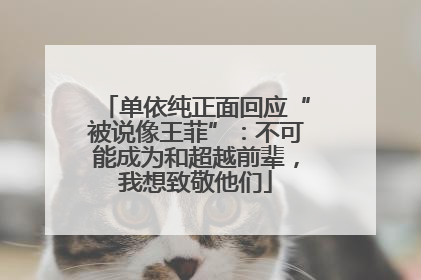 单依纯正面回应“被说像王菲”：不可能成为和超越前辈，我想致敬他们