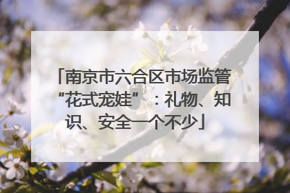 南京市六合区市场监管“花式宠娃”：礼物、知识、安全一个不少