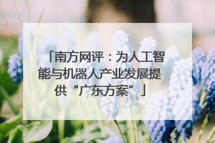 南方网评：为人工智能与机器人产业发展提供“广东方案”