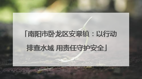 南阳市卧龙区安皋镇：以行动排查水域 用责任守护安全