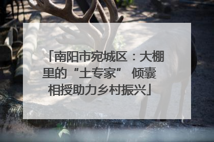 南阳市宛城区：大棚里的“土专家” 倾囊相授助力乡村振兴