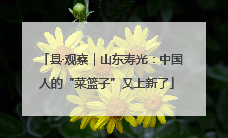 县·观察｜山东寿光：中国人的“菜篮子”又上新了
