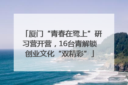 厦门“青春在鹭上”研习营开营，16台青解锁创业文化“双精彩”