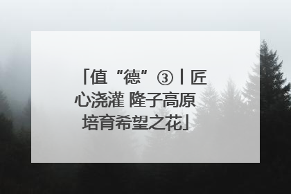 值“德”③丨匠心浇灌 隆子高原培育希望之花