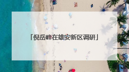 倪岳峰在雄安新区调研