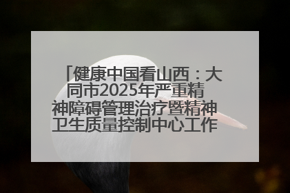 健康中国看山西：大同市2025年严重精神障碍管理治疗暨精神卫生质量控制中心工作培训班开班