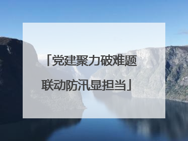 党建聚力破难题 联动防汛显担当