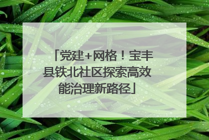 党建+网格！宝丰县铁北社区探索高效能治理新路径