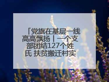 党旗在基层一线高高飘扬丨一个支部团结127个姓氏 扶贫搬迁村实现振兴嬗变