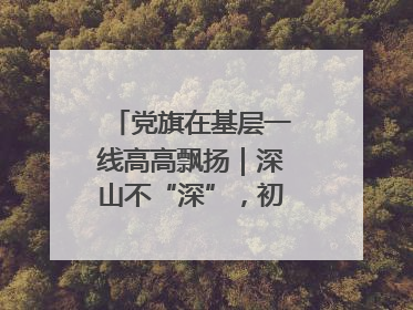 党旗在基层一线高高飘扬｜深山不“深”，初心很“红”