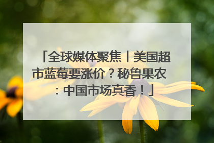 全球媒体聚焦丨美国超市蓝莓要涨价？秘鲁果农：中国市场真香！