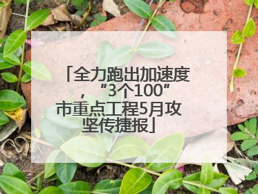 全力跑出加速度，“3个100”市重点工程5月攻坚传捷报