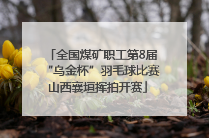 全国煤矿职工第8届“乌金杯”羽毛球比赛山西襄垣挥拍开赛