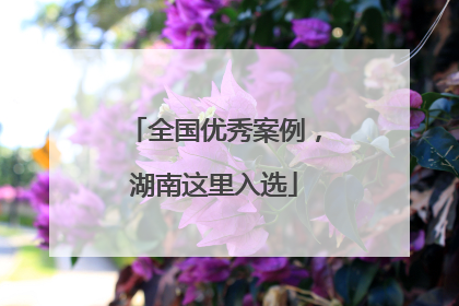 全国优秀案例，湖南这里入选