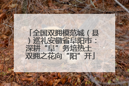全国双拥模范城（县）巡礼安徽省阜阳市：深耕“阜”务培热土 双拥之花向“阳”开
