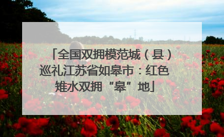 全国双拥模范城（县）巡礼江苏省如皋市：红色雉水双拥“皋”地