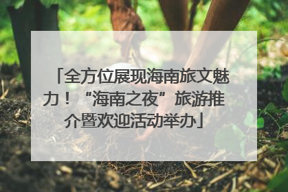 全方位展现海南旅文魅力！“海南之夜”旅游推介暨欢迎活动举办